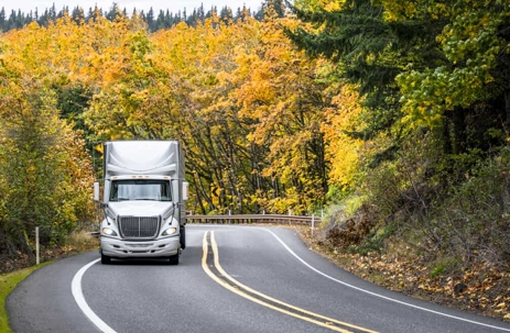 Semi-truck drives on a forest road during the fall